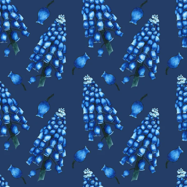 Patrón herbal sin costuras con flores de campo azul acuarela de muscari sobre fondo de noche perla. Adorno de ramas grandes y pequeños brotes — Foto de Stock