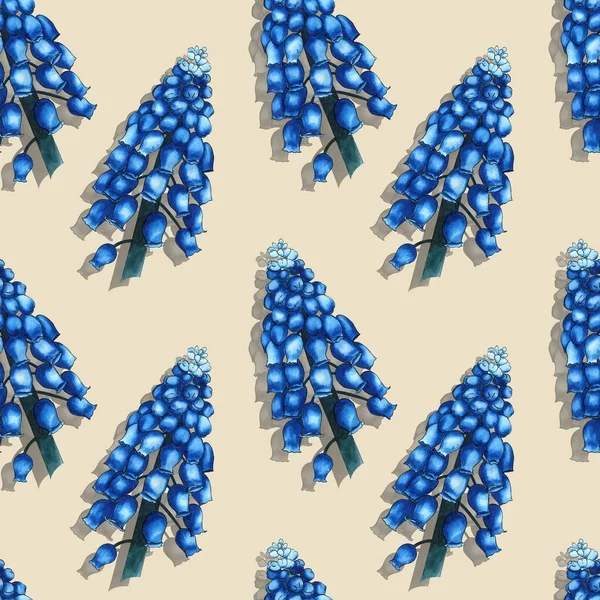 Безшовний трав'яний візерунок з акварельними синіми польовими квітами мускарі на бежевому фоні. Орнамент великих гілок — стокове фото