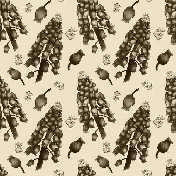 Безшовний трав'яний візерунок з акварельними польовими квітами мускарі на бежевому фоні. Орнамент великих гілок і дрібних бутонів, зроблених у відтінках кави — стокове фото