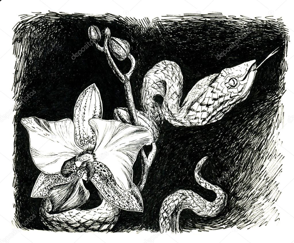Hand-drawn ink sketch of orchid flower and a snake. Black and white graphic composition