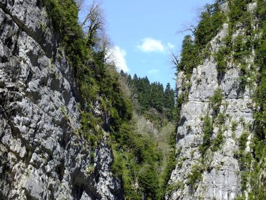 dağ Gorge peyzaj