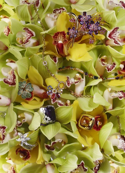 Bijoux Sur Fond Fleur Images De Stock Libres De Droits