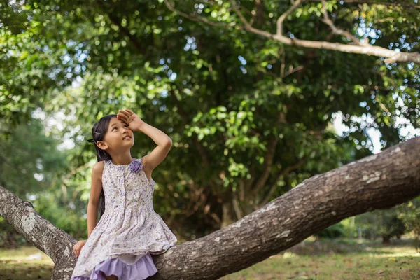 Gadis Asia Kecil Yang Lucu Berdiri Antara Hari Matahari Ladang — Stok Foto