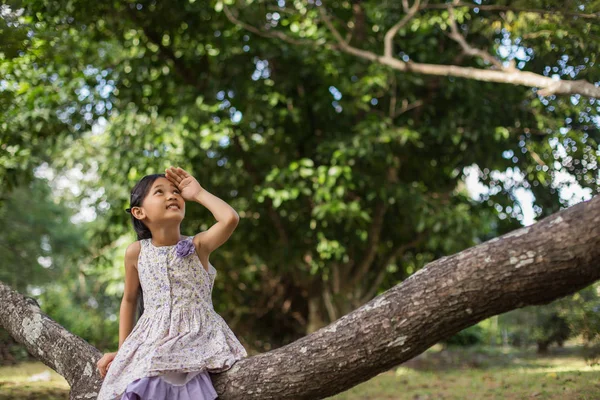 Gadis Asia Kecil Yang Lucu Berdiri Antara Hari Matahari Ladang — Stok Foto