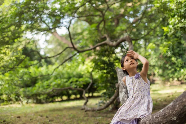 Poco Linda Chica Asiática Pie Entre Campo Flores Púrpura Sol Imagen de stock