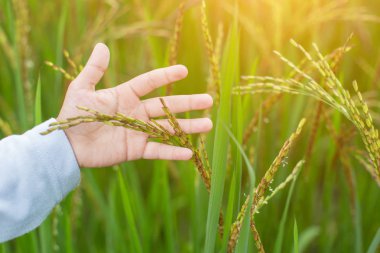 Genç kadın zevk doğa el ile gündoğumu.
