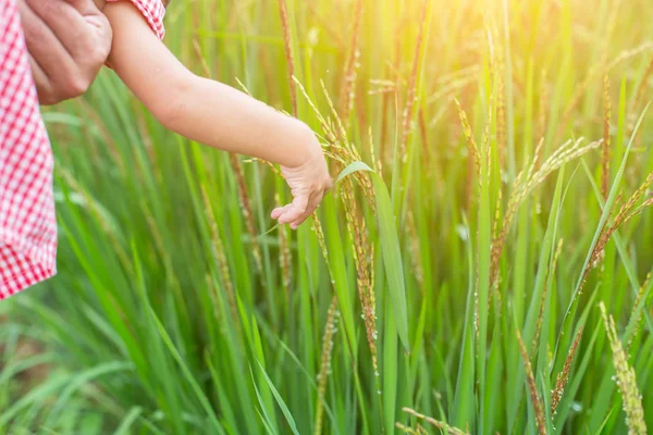 Genç kadın zevk doğa el ile gündoğumu.