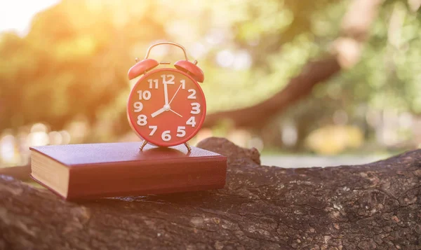 Horloge Rétro Temps Heures Avec Carnet Mémo Sur Table Bois — Photo