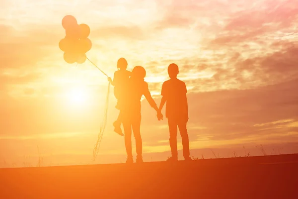 Brother Brother Silhouette Moments Child Joy Nature Sunset — Stock Photo, Image