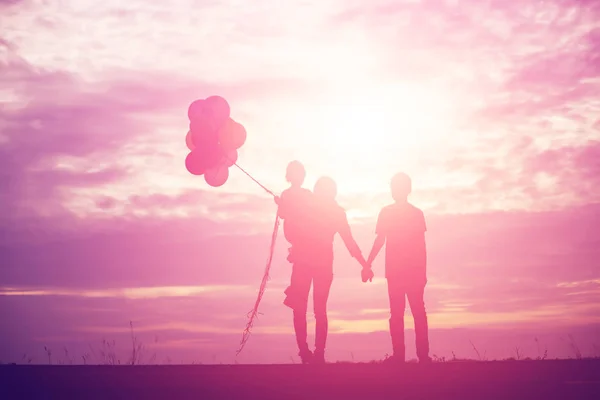 Brother Brother Silhouette Moments Child Joy Nature Sunset — Stock Photo, Image