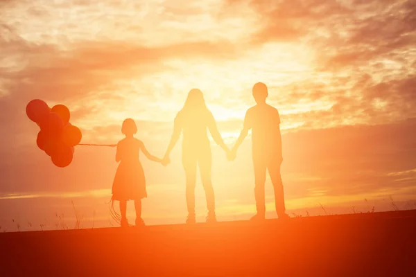 Brother Brother Silhouette Moments Child Joy Nature Sunset — Stock Photo, Image
