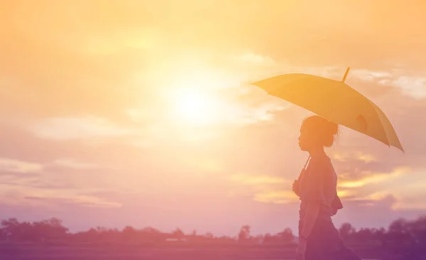 Silueta Hermosa Chica Naturaleza Atardecer Verano — Foto de Stock