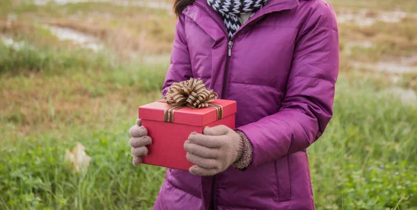 Happy young woman with gift in hands. Christmas and winter concept.