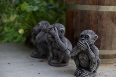 Üç bilge maymun, üç mistik maymunlar (görme, duyma, kötü konuşma)