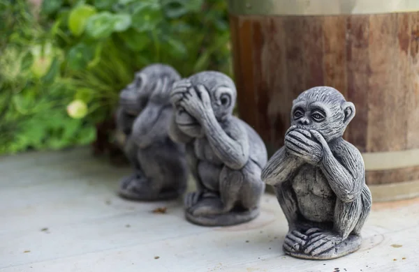 Üç bilge maymun, üç mistik maymunlar (görme, duyma, kötü konuşma)