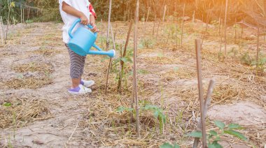 Küçük kız ağaç sulama pot ile sulama