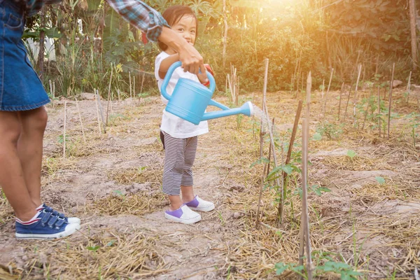 Menina Pequena Árvore Rega Com Pote Rega — Fotografia de Stock