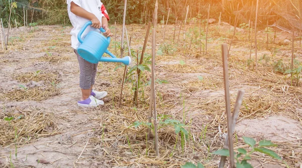 Gadis Kecil Mengairi Pohon Dengan Panci — Stok Foto