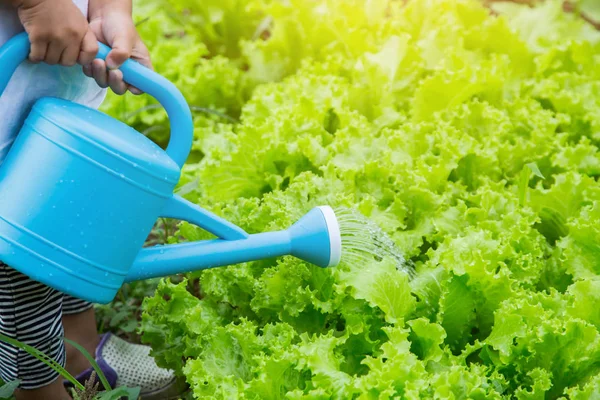 Küçük kız ağaç sulama pot ile sulama