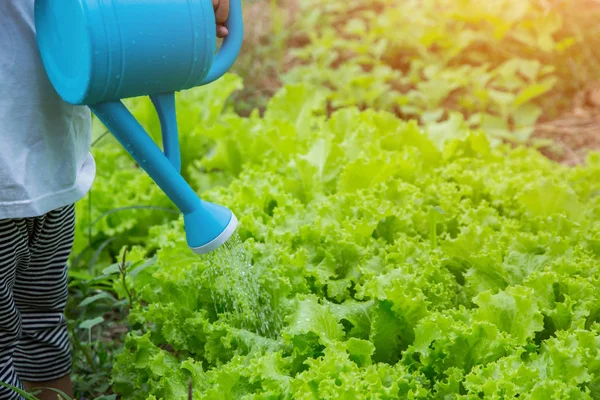 Küçük kız ağaç sulama pot ile sulama