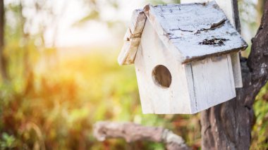 Söğüt ağacının dalları üzerinde asılı minyatür kuş yuvası dekorasyon