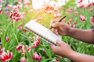 Beyaz bir çiçek bahçesinde notlar alan bir kadın