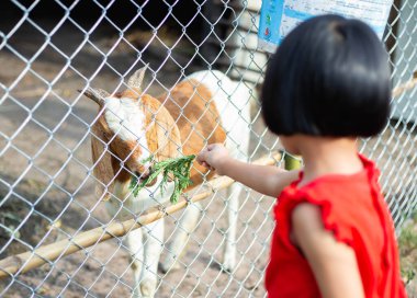 Gülümseyen güzel kız portresi.