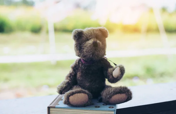 Lonely Bear Sitting Love Face — Stock Photo, Image