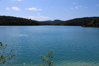 Yaz aylarında Plitvice park, mavi suda Hırvatistan güzel göl