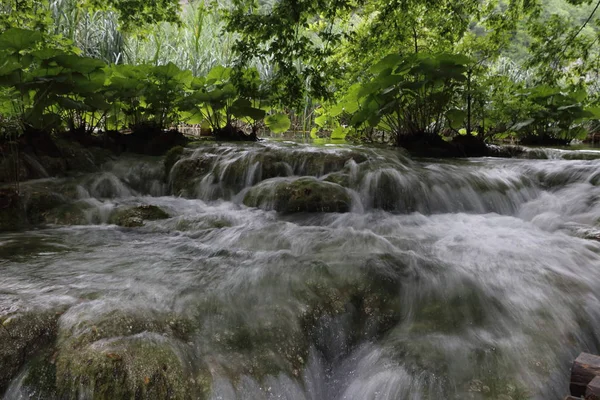 Όμορφη Νερό Ρεύμα Στην Κροατία Στο Πάρκο Plitvice — Φωτογραφία Αρχείου