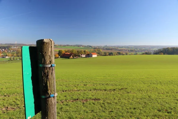 Grasveld België Foto Maken Tijdens Het Wandelen — Stockfoto