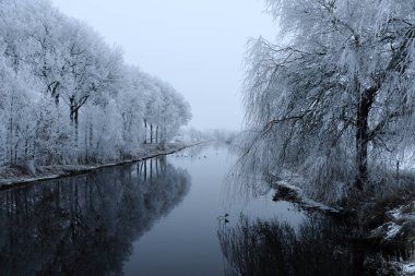 Güzel kış manzarası Hollanda Dedemsvaart filmi ile bir kanal ve çevredeki ağaçlar,