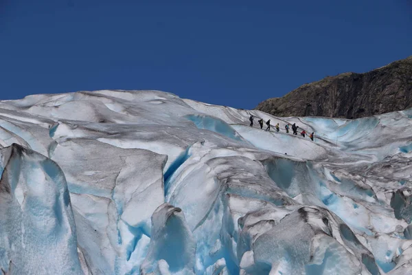 Norveç'te nigardsbreen buzul üzerinde hiking