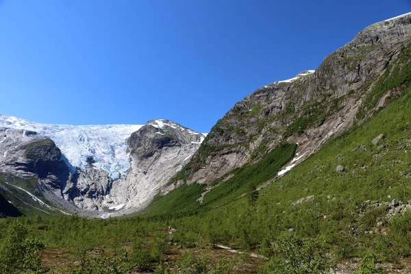 Ледник Nigardsbreen Норвегии Боковая Рука Самого Большого Ледника Европе Jostedalsbreen — стоковое фото