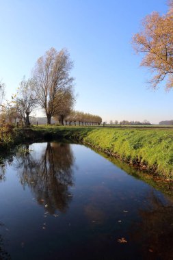 Pollard willow yakın Dalfsen devlet Overijssel Hollanda