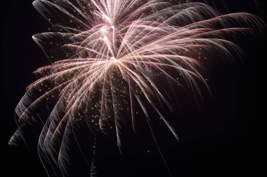 Fireworks uygulamasında yeni yıl arifesi, Hollanda