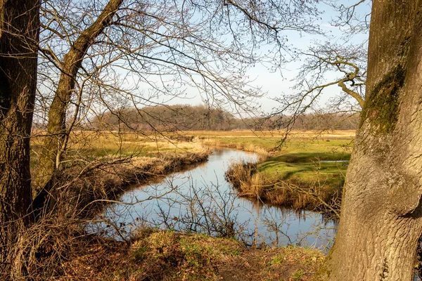 Een Beek Natuur Drentse Omgeving Van Zeegse Reserveren Provincie Drenthe — Stockfoto