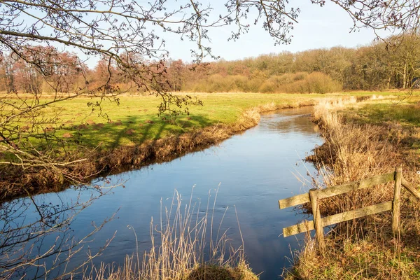 Bir dere doğal rezerv Drentse Aa Zeegse yakın ilinde Drenthe Hollanda