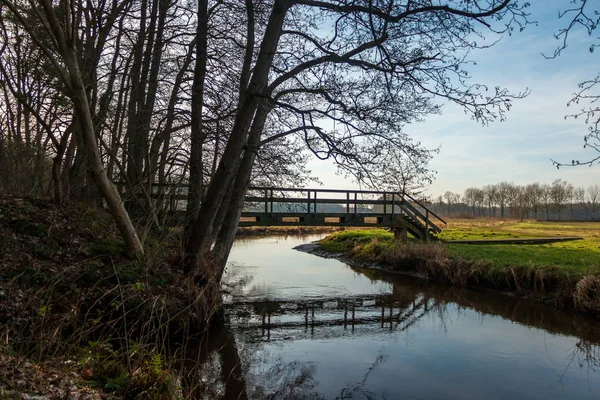 Мост Через Ручей Заповеднике Drentse Рядом Зигсе Провинции Дренте Нидерланды — стоковое фото