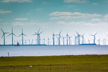 Ijsselmeer Gölü 'ndeki yel değirmenleri. Fotoğraf Hollanda' nın Gaasterland bölgesinde çekildi.