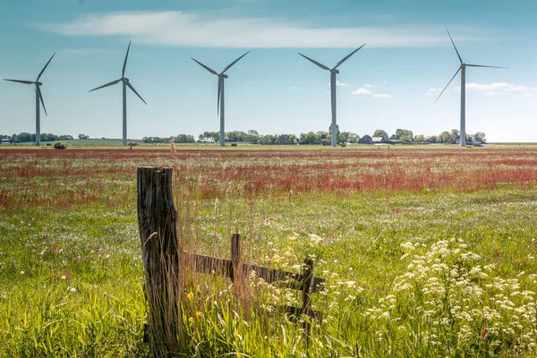 Windmills Field Netherlands Region Gaasterland Province Friesland — 스톡 사진