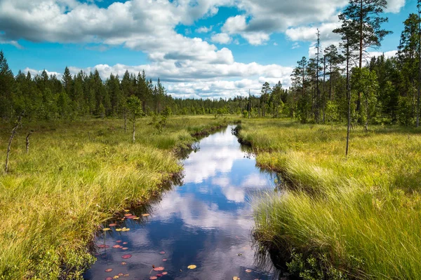 Belo Riacho Deserto Suécia Região Dalarna Nas Proximidades Fredriksberg — Fotografia de Stock