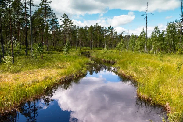 Belo Riacho Deserto Suécia Região Dalarna Nas Proximidades Fredriksberg — Fotografia de Stock