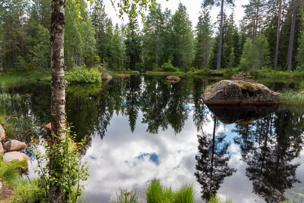 Teich Wald Von Schweden Mit Spiegelungen Wasser Region Dalarna Der — Stockfoto