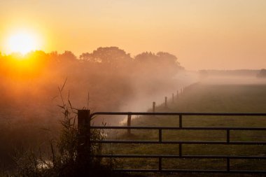 Hollanda 'da güzel sisli bir sabah. Turuncu bir güneş doğuyor ve çiftçi topraklarında küçük bir çit ve çit var. Fotoğraf Overijssel' de çekildi.