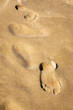 Hollanda Schiermonnikoog Adası'nda Kuzey deniz kıyısında plaj kum ayak izleri
