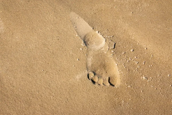 Empreintes Dans Sable Plage Sur Côte Mer Nord Sur Île — Photo