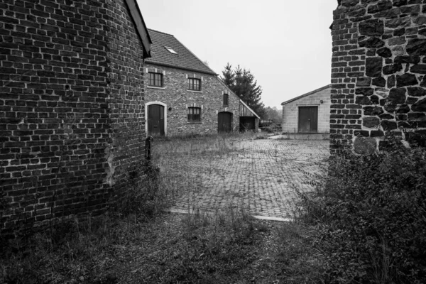 벨기에에 농가와 근처의 흑백으로 — 스톡 사진