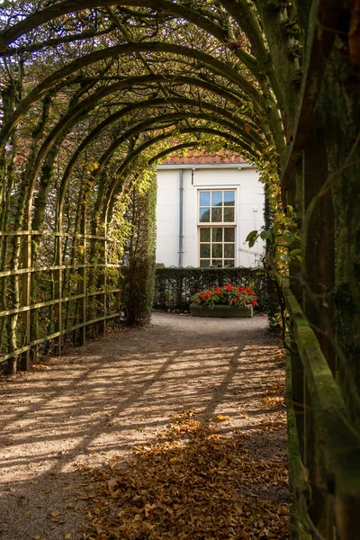位于荷兰格罗宁根市的一座漂亮的植物园被称为 王子花园 — 图库照片