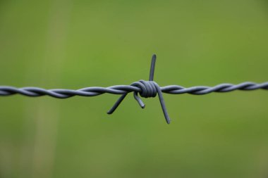 Hayvanları arazide tutmak için dikenli tellerin etrafını kapatın.